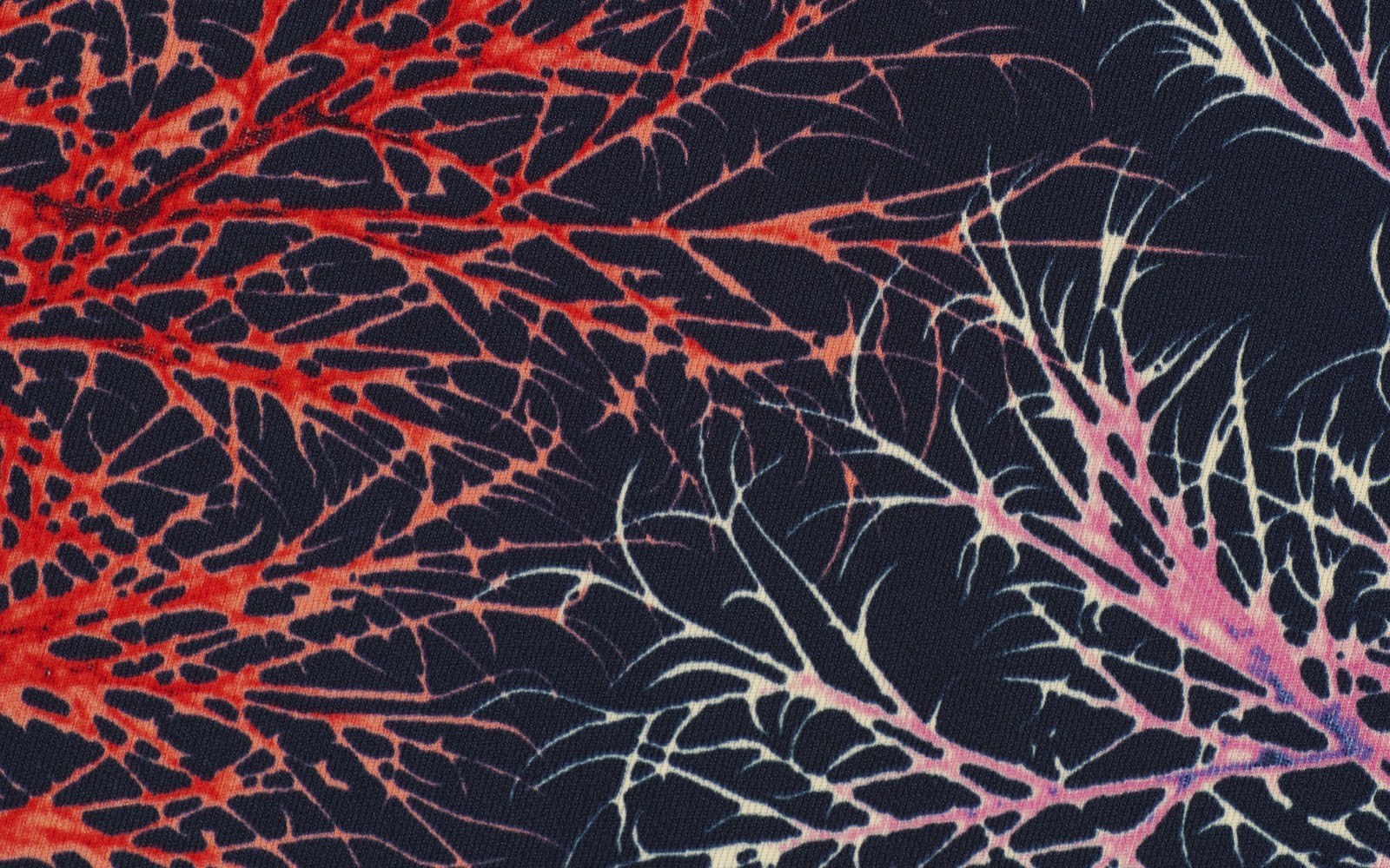 Un gros plan d'un arbre rouge et noir sur fond noir (art, textile, texture, art numérique, design)