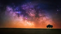 Vibrant Night Sky with Stars and a Solitary Tree on the Horizon