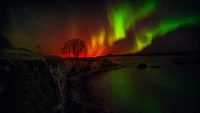 Paisagem noturna encantadora: Aurora Boreal iluminando uma paisagem serena