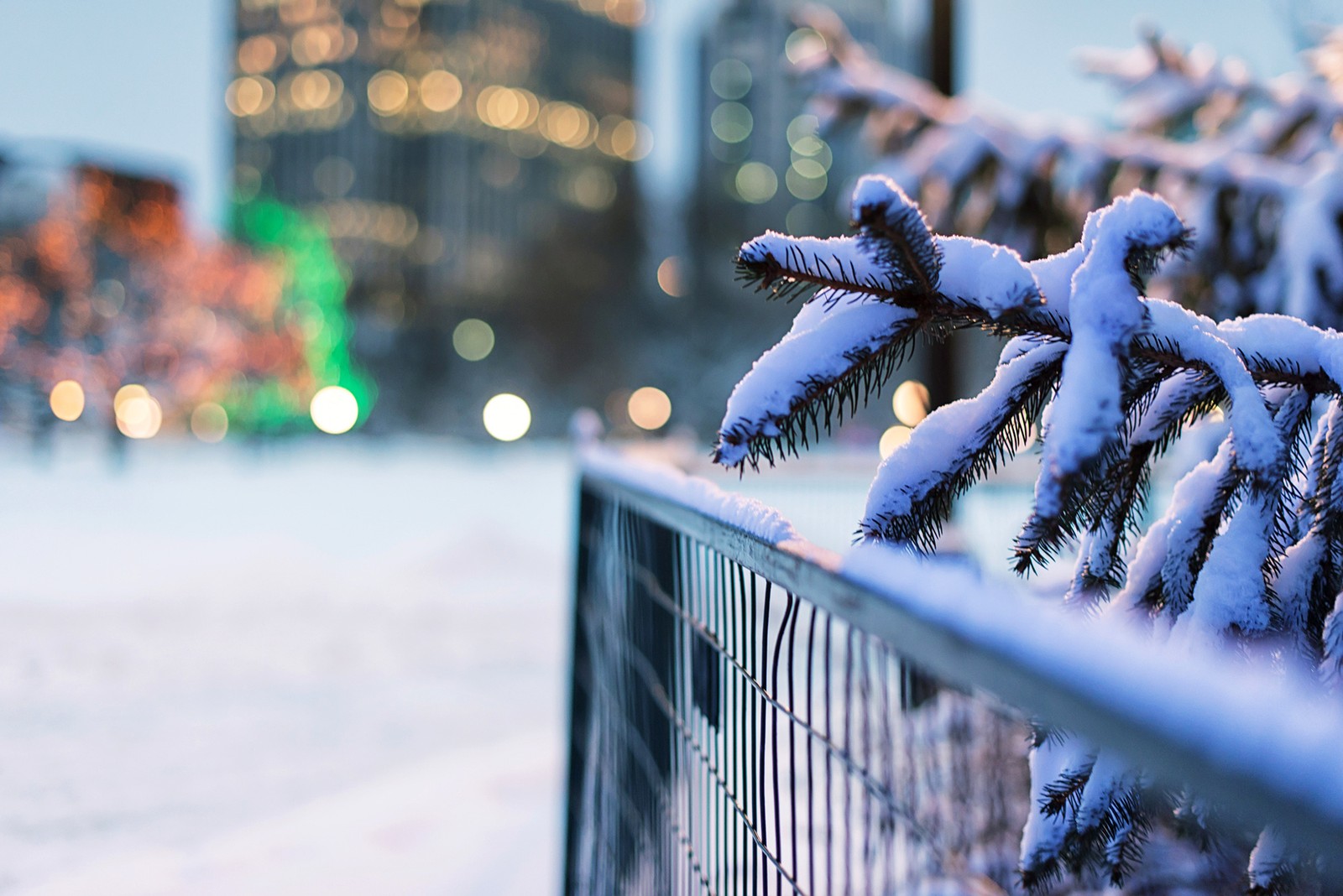 Schneebedeckte szene einer stadtstraße mit einem zaun und einer bank (winter, zweig, baum, blau, schnee)