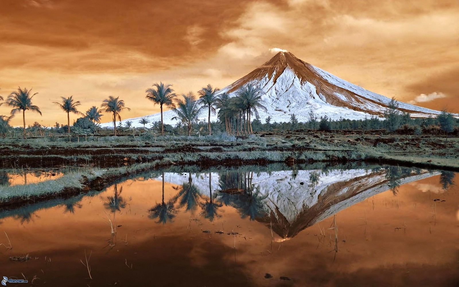 Arafed mountain with a reflection in a lake surrounded by palm trees (volcano, mountain, reflection, nature, landscape)