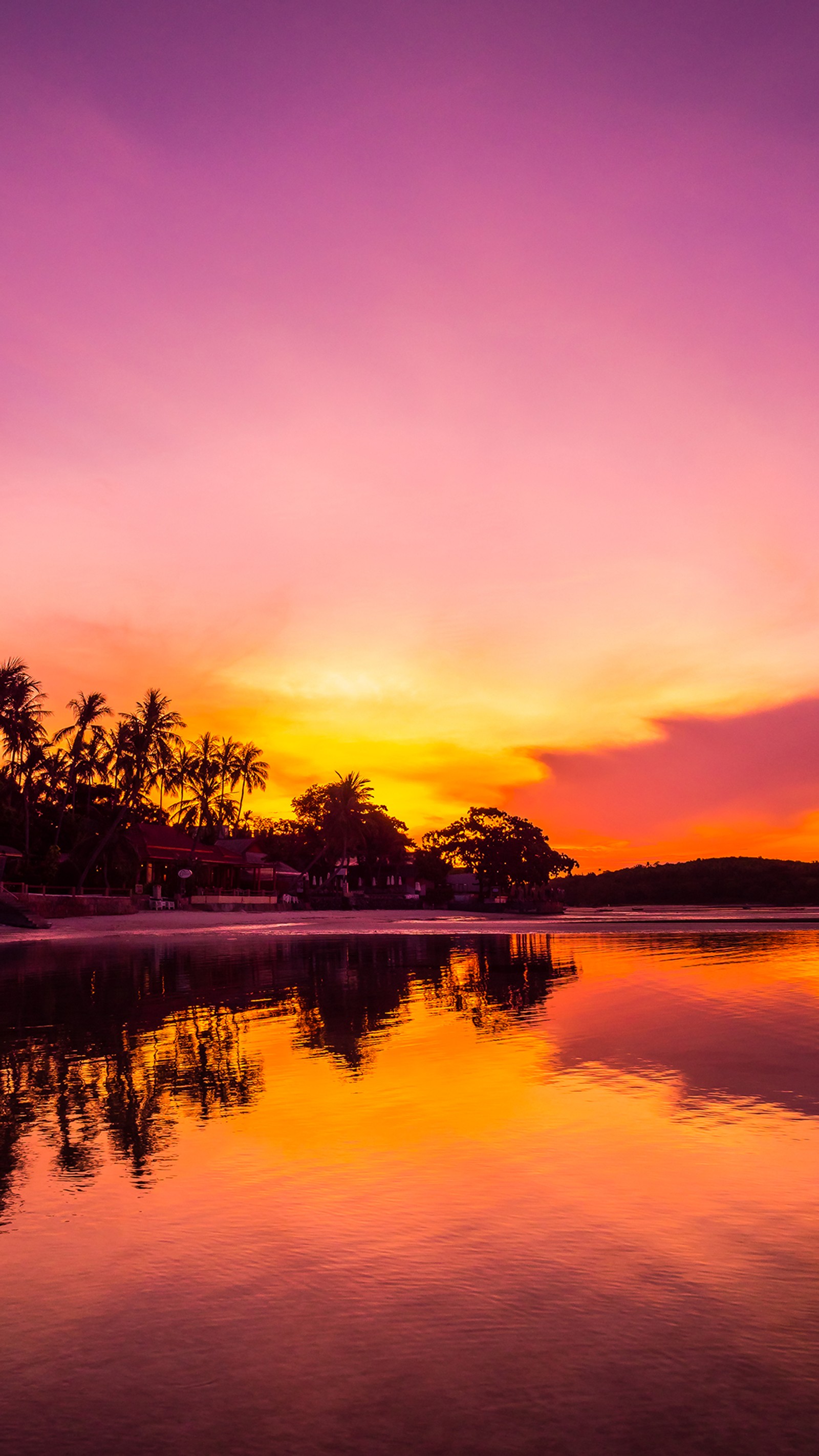 Coucher de soleil violet et orange sur une plage avec des palmiers et un plan d'eau (musique chill out, eau, nuage, atmosphère, paysage naturel)