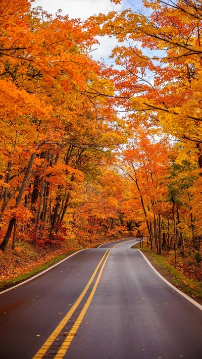 Scenic Autumn Road Surrounded by Vibrant Fall Foliage