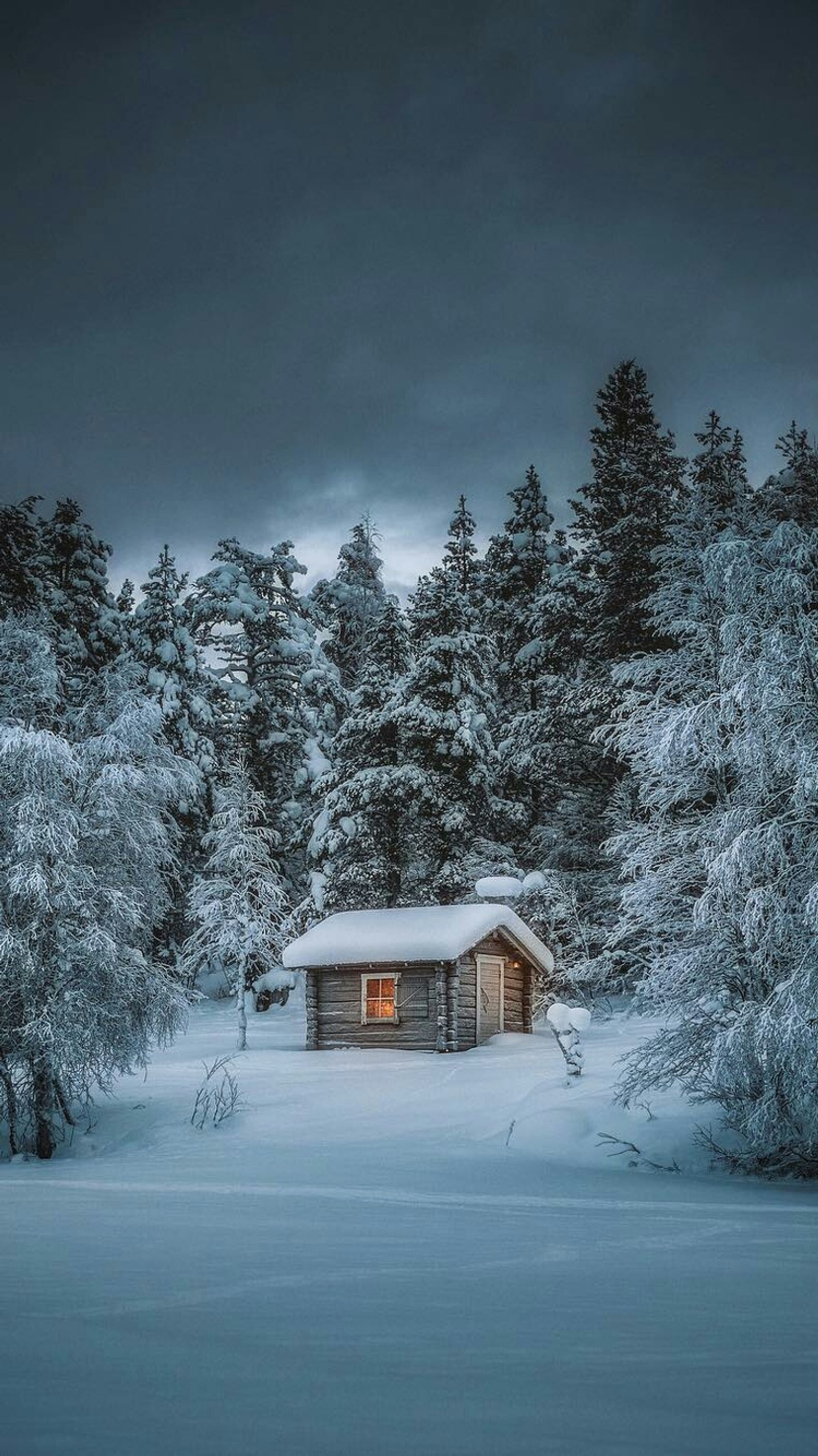 Un chalet enneigé dans les bois avec une lumière allumée (cabine, forêt, maison, nature, hiver)