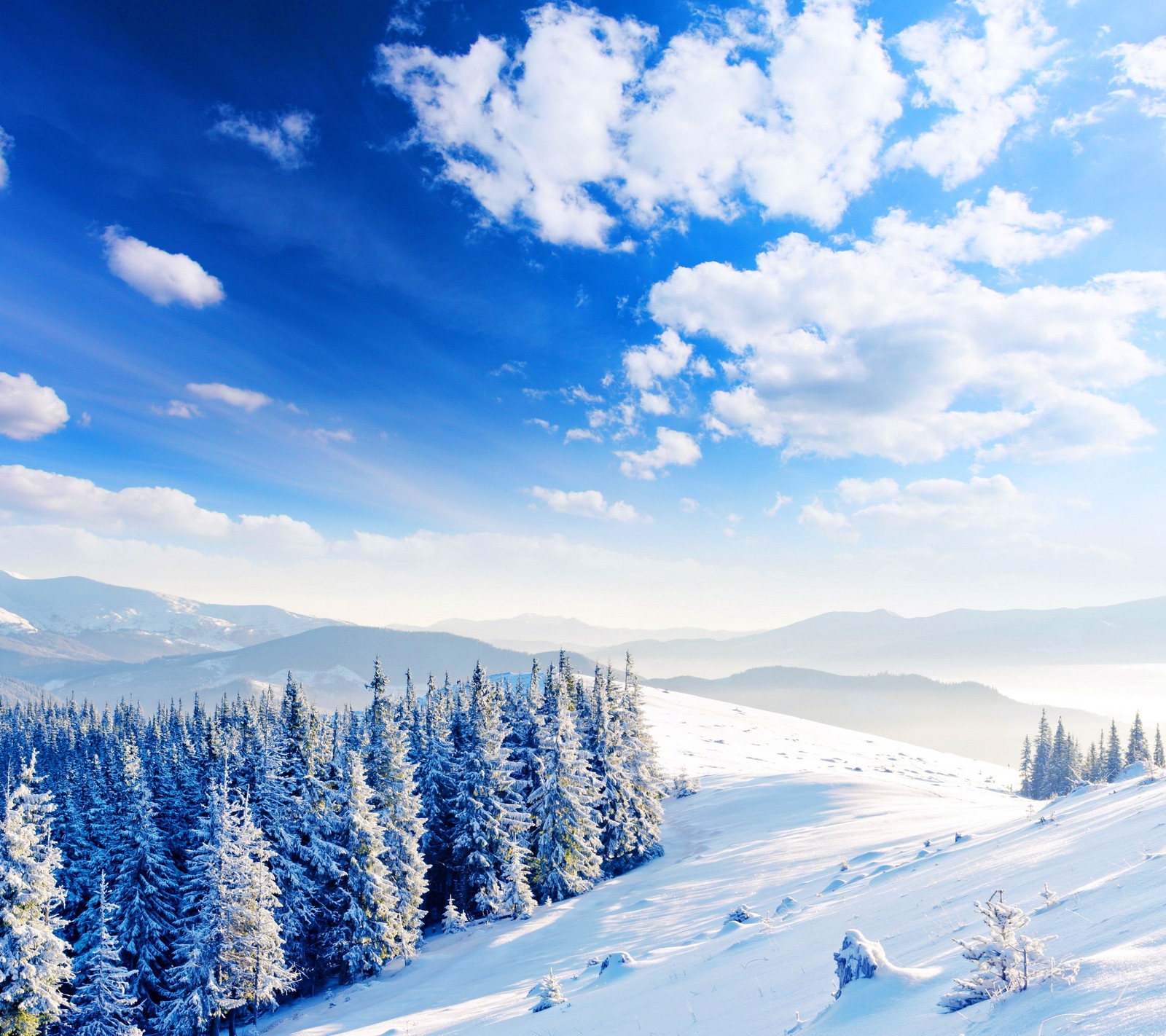 Snowy mountain landscape with pine trees and blue sky (light snow, nature winter, white background)