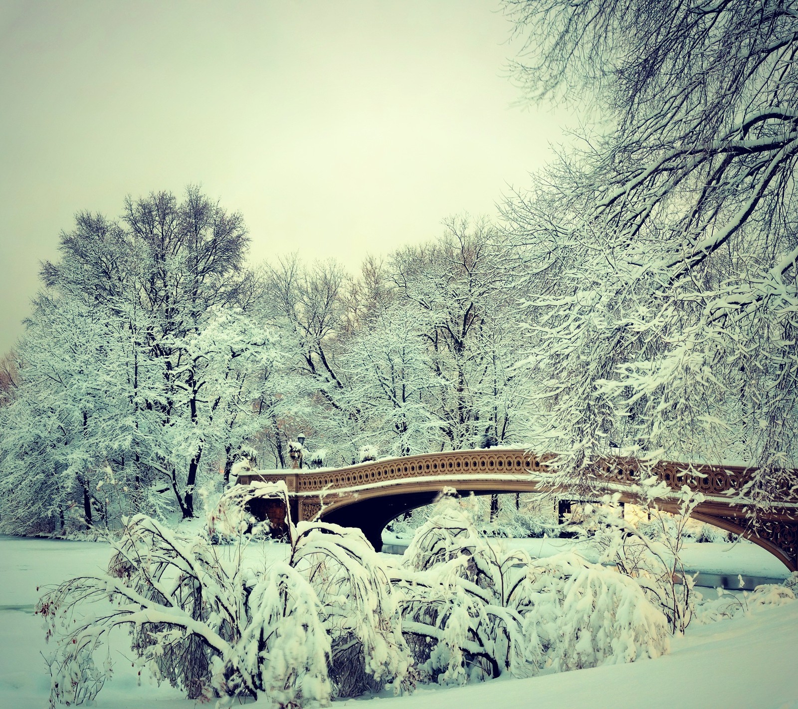 Arafed bridge over a snowy pond with trees in the background (central park, landscape, manhattan, nature, new york)