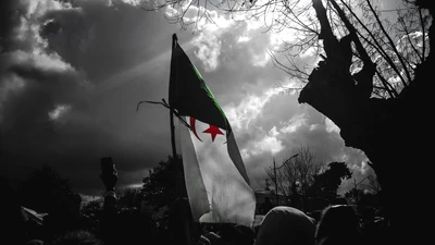 Algerian Revolution: Unity and Resilience Under the Flag