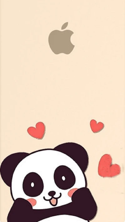 cute, panda