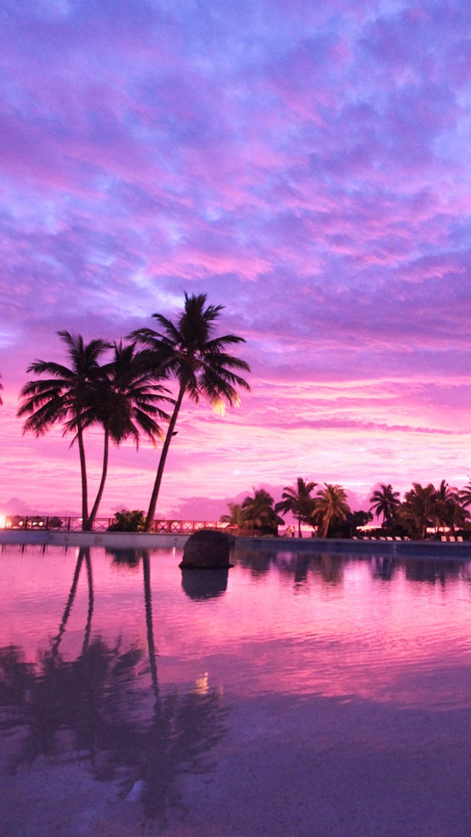 Purple and pink sunset over a pool with palm trees and a boat (cloud, nature)