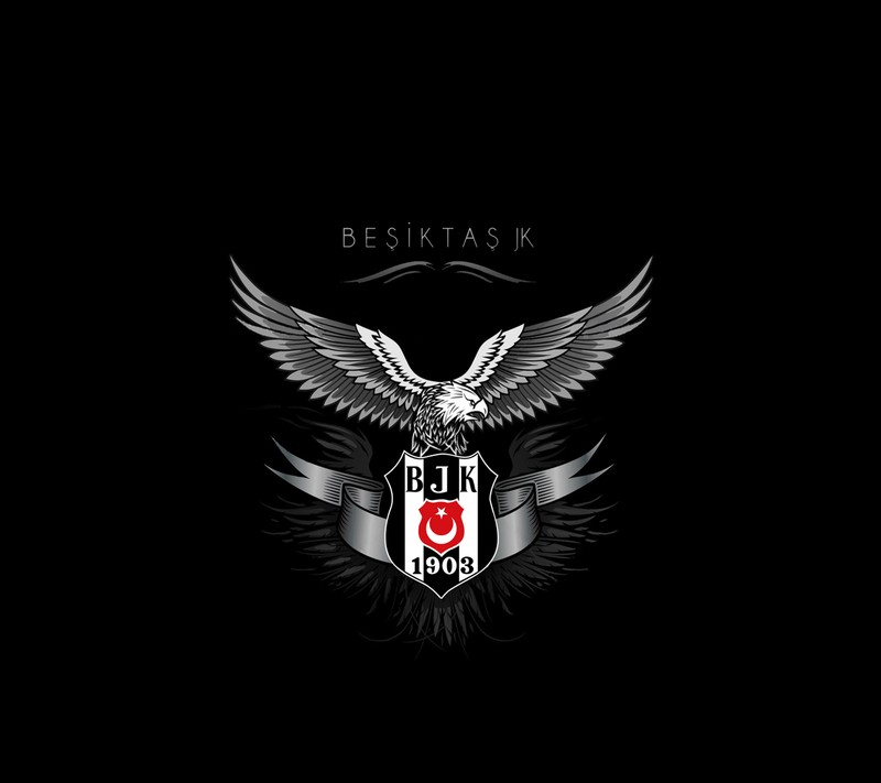 Черно-белая фотография птицы с крыльями (бешикташ, besiktas, bjk, чёрный, орел)