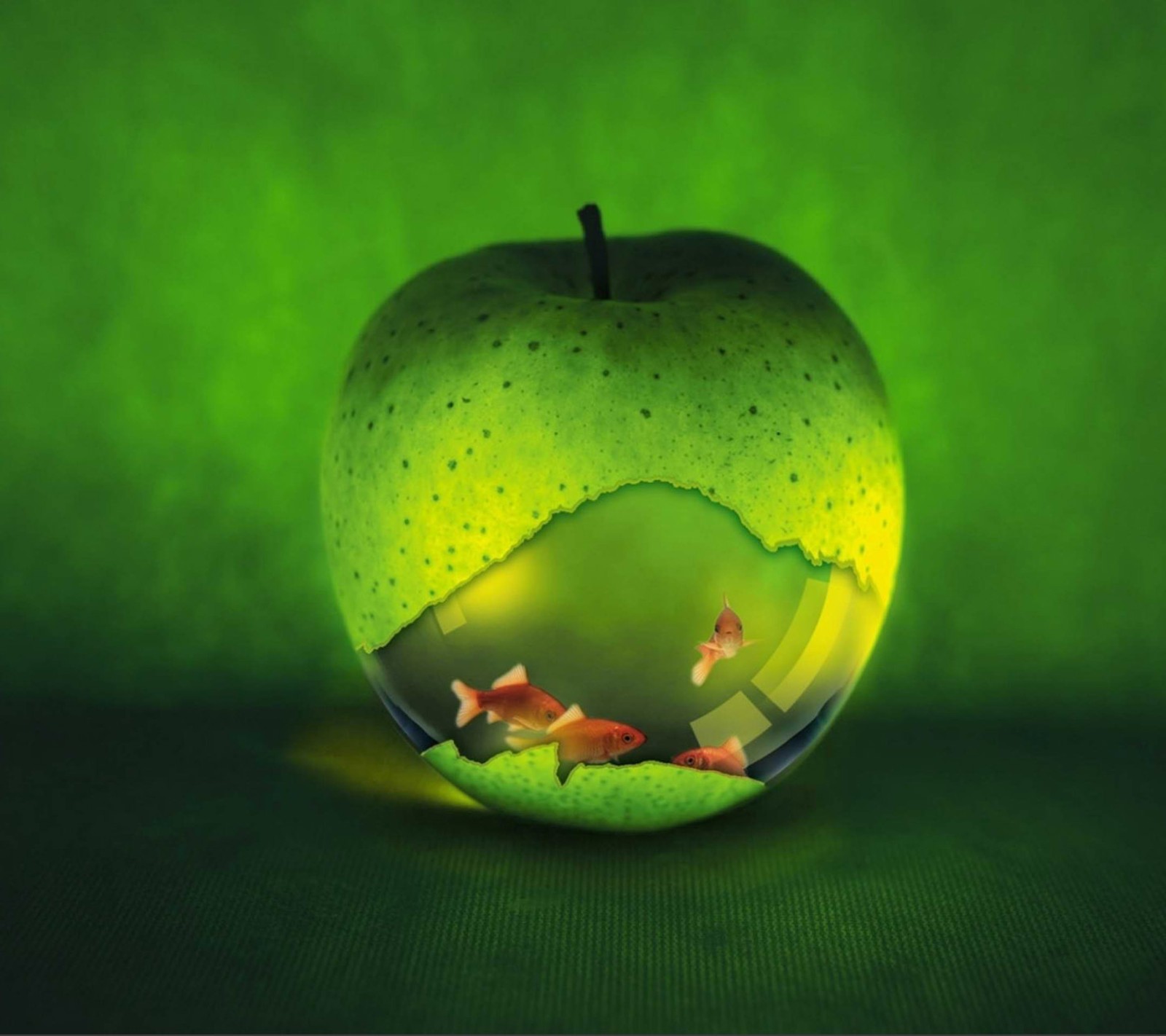 There is a green apple with a fish inside of it (apple, fish, green)