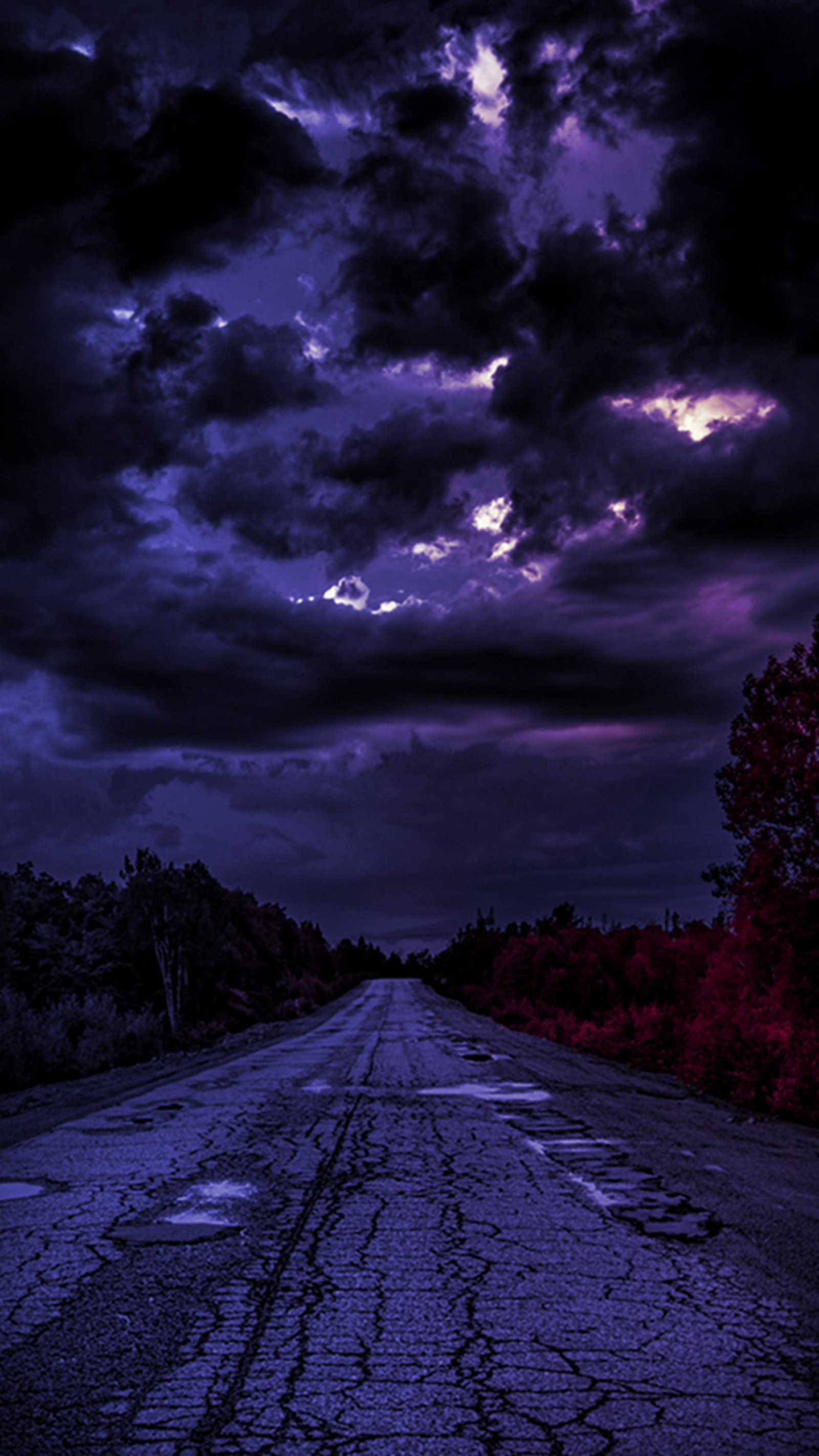 Une route arabe avec un ciel plein de nuages et un arbre rouge (éternité, route)