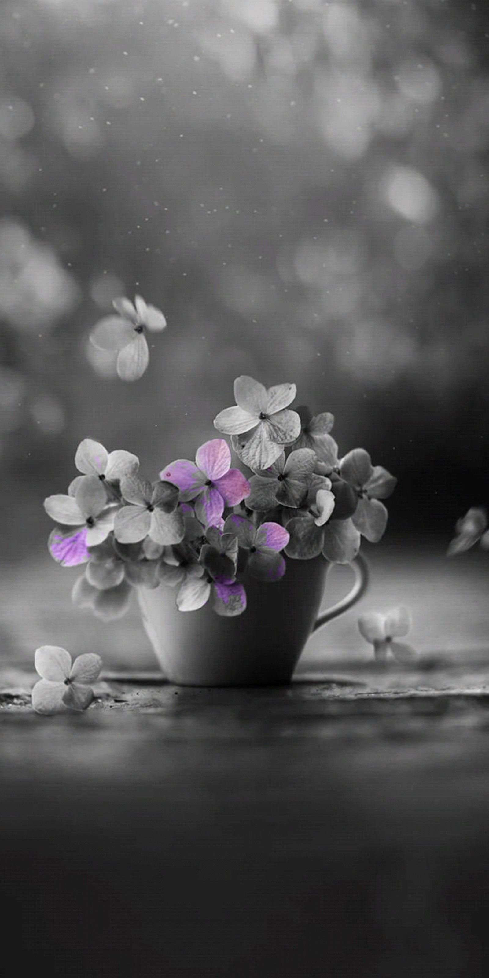 Flores moradas en una taza blanca con mariposas volando alrededor (flores, only a few)