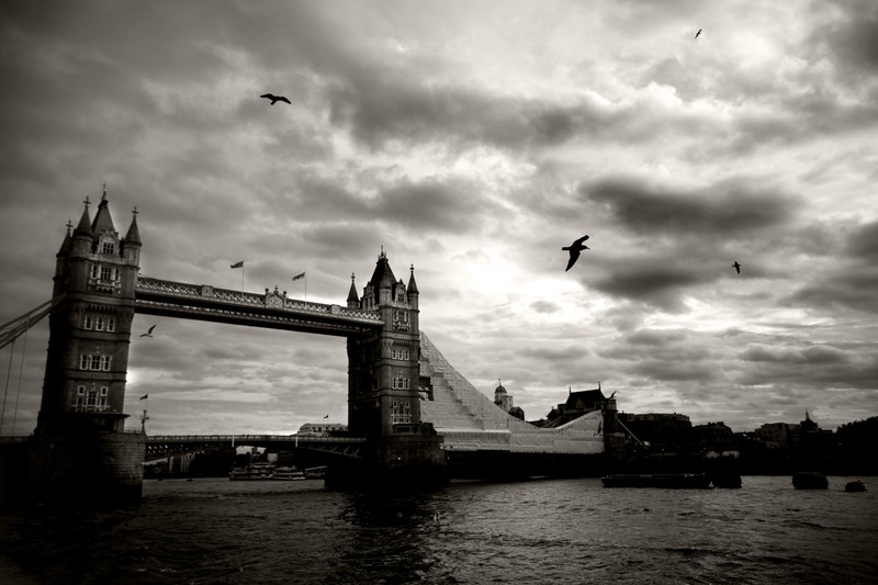 Вид сверху на мост с летающими над ним птицами (tower bridge, черно белый, вода, мост, облако)