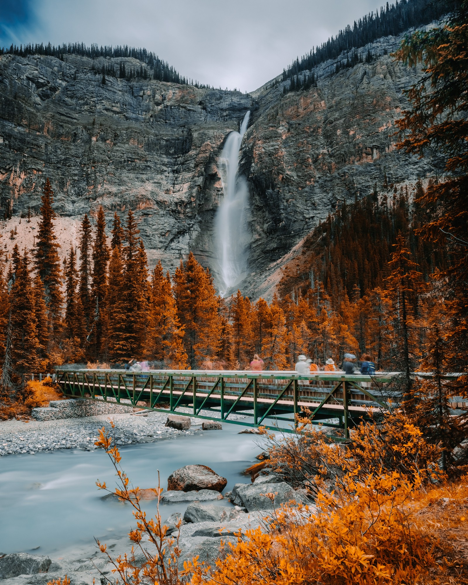 Arbres et rochers au premier plan d'une cascade et d'un pont (la cascade, nature, paysage naturel, eau, sauvage)