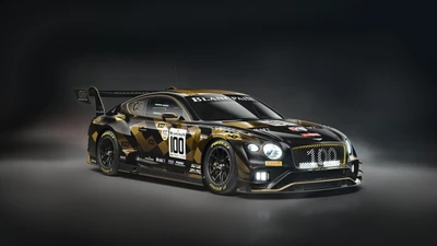 bentley continental gt3, 2020, 5k, schwarz dunkel, autos