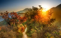 Morgensonne über der Großen Mauer von China, umgeben von herbstlichem Laub