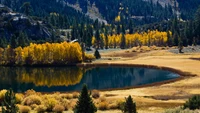 Reflejos de otoño en una reserva natural serena