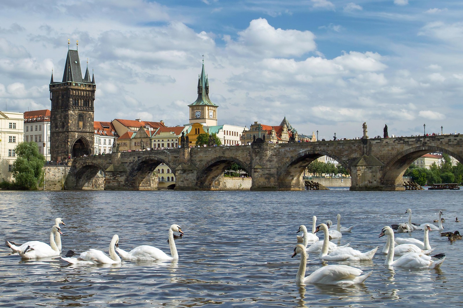 Téléchargez le fond d'écran pont charles, charles bridge, pont, oiseau, oiseau aquatique