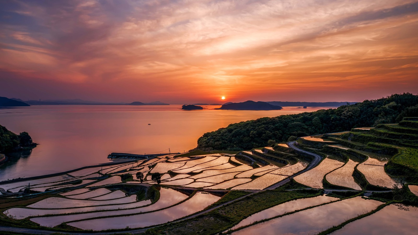 Une vue d'un coucher de soleil sur un champ de riz avec un bateau dans l'eau (japon, crépuscule, coucher de soleil, horizon, matin)