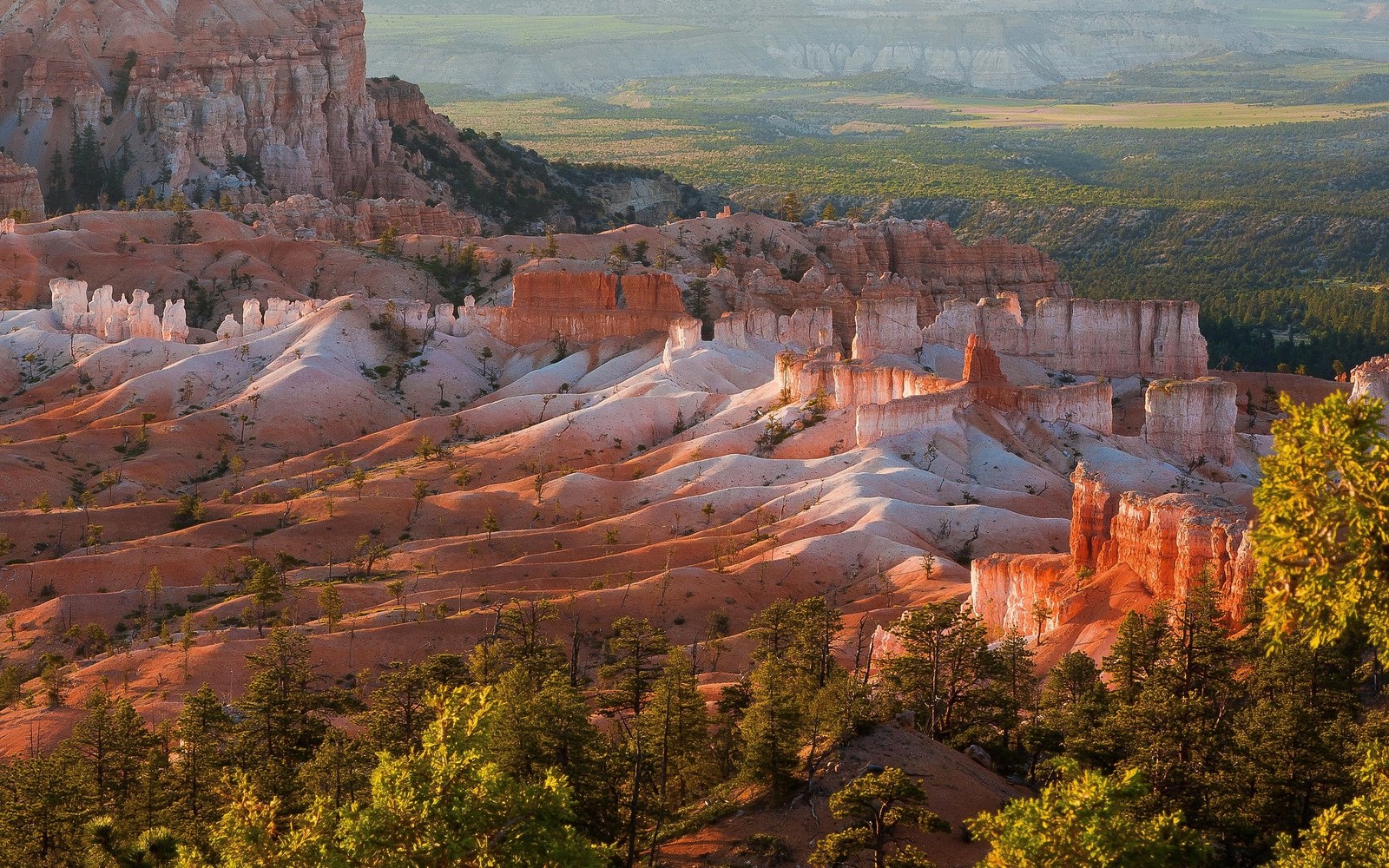 Canyon dans le parc national de bryce, utah (sauvage, canyon, parc national, parc national de bryce canyon, parc)