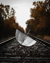 Parapluie transparent sur des voies de train entouré de feuillage d'automne