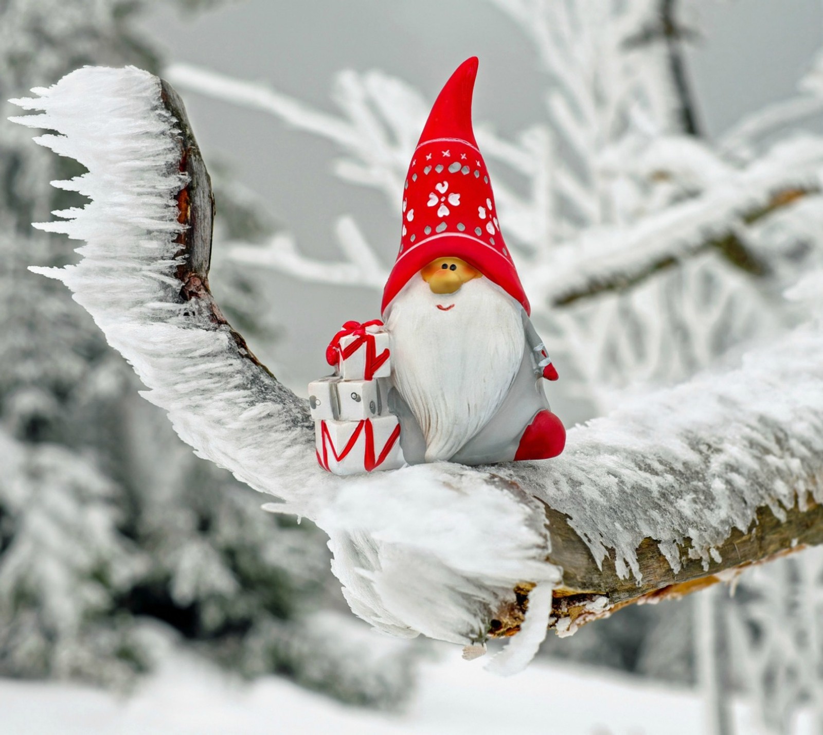 christmas, gnome, snow, winter Download Wallpaper