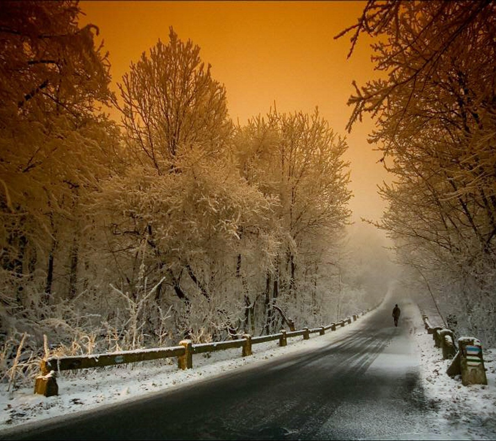 Une route enneigée avec des arbres et une clôture au loin avec une personne marchant dessus (froid, luminosité, autoroute, route, ciel)