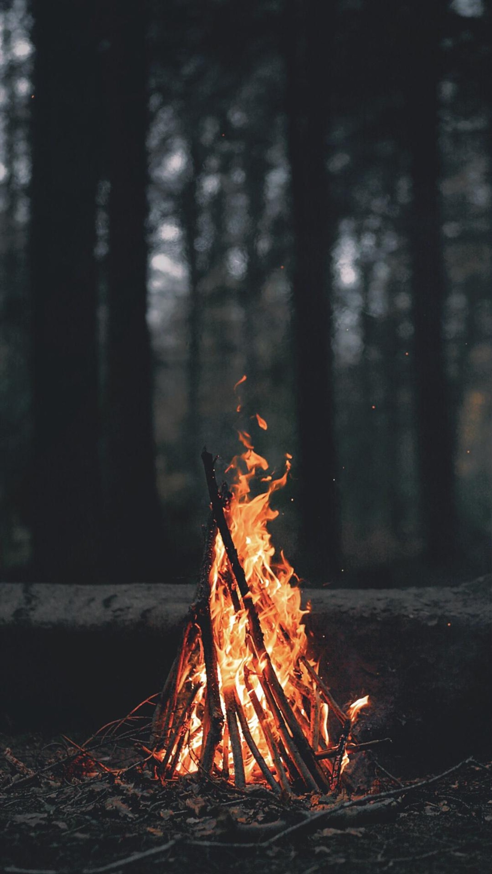 Es brennt ein feuer mitten im wald (dunkel, eyad, feuer, kamin, wald)