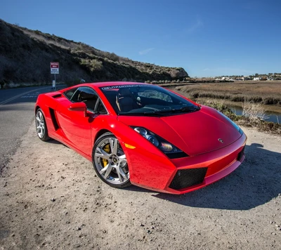 gallardo, lamborghini