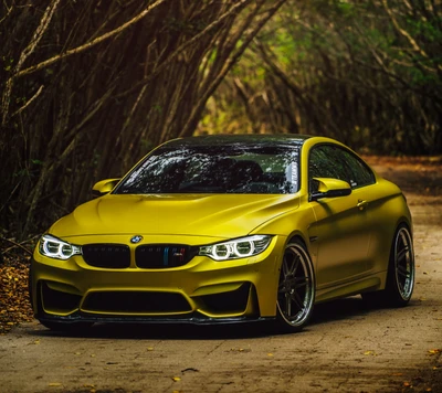 BMW M4 F82 Coupé amarelo fosco em um cenário ao ar livre pitoresco