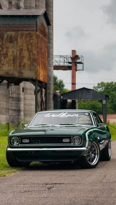 camaro, car, chevy, muscle