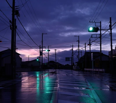 cityscapes, japan, rain, tokyo, urban