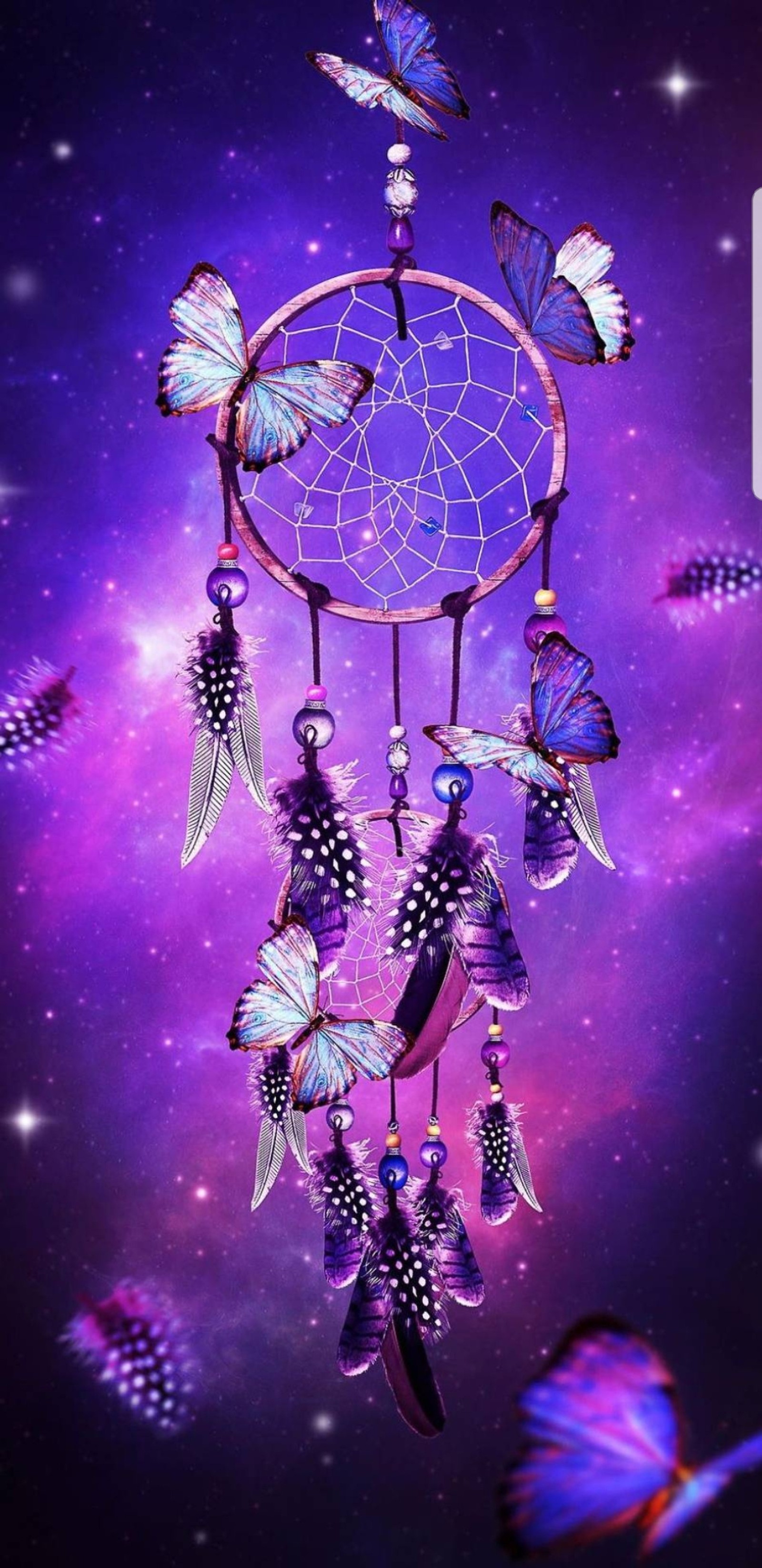 Purple and blue dream catcher with butterflies and stars in the background (orchids, butterfly)