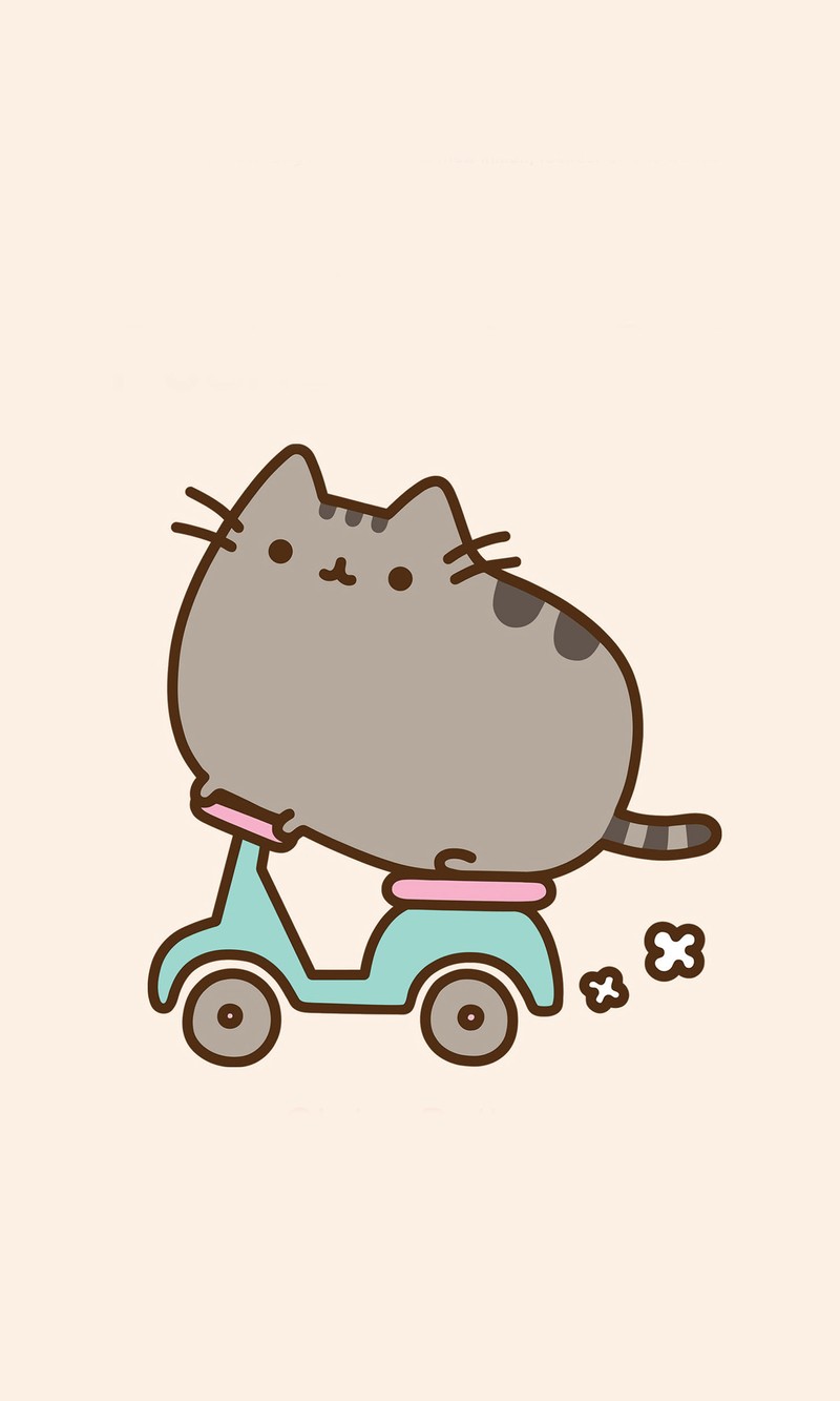 Близкий план кота на скутере с костью на фоне (кот, милый, пушин, pusheen)