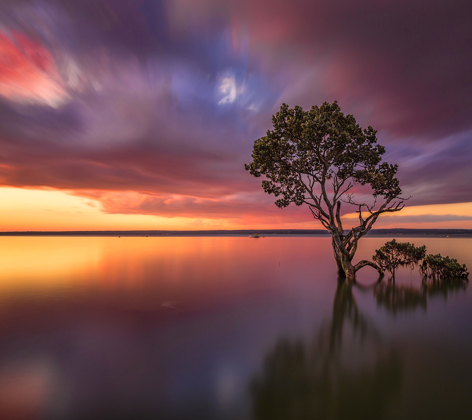 Un arbre au milieu d'un lac avec un coucher de soleil en arrière-plan (seul, nuages, génial, soir, nouveau)