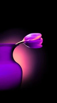 blume, hd, tulpe, vase