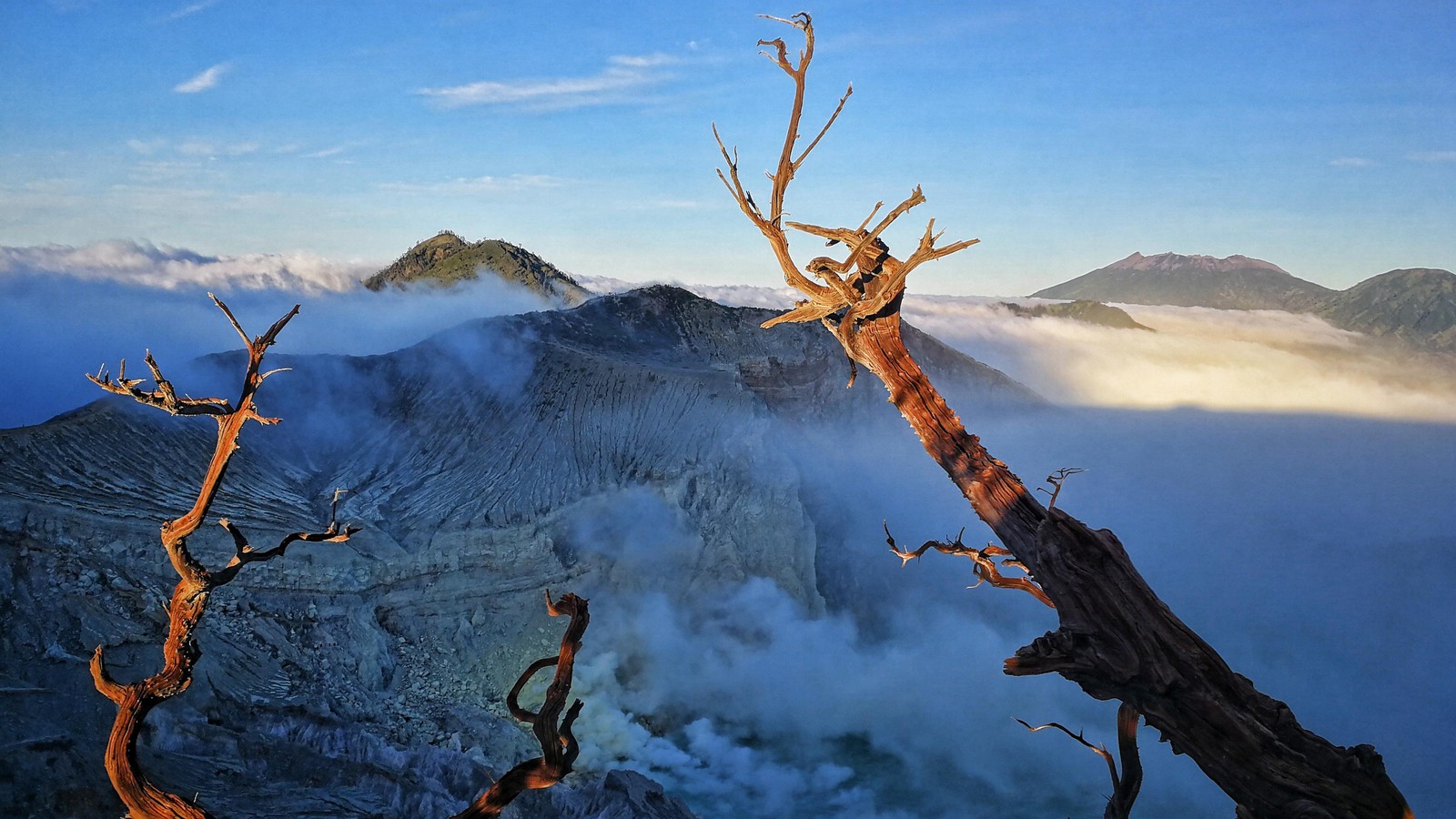 Há uma árvore morta em uma montanha com vista para a neblina (nuvem, planta, natureza, montanha, azul celeste)