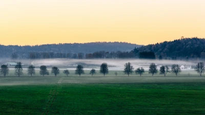 Paisagem matinal nevoenta com árvores e montanhas