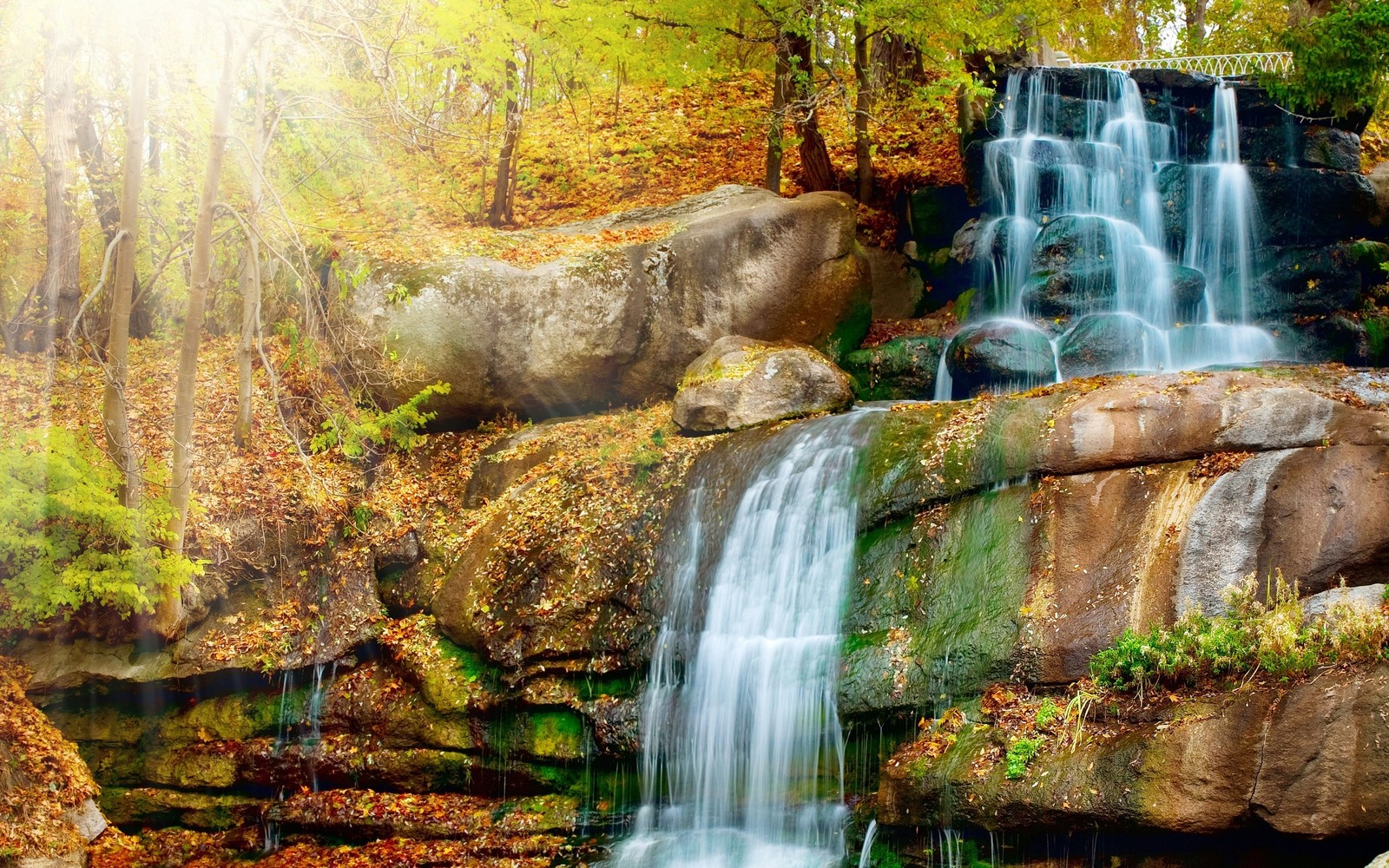 A close up of a waterfall in a forest with rocks and trees (waterfall, body of water, nature, water, watercourse)