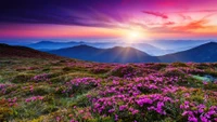 Lebendige Berglandschaft unter einem bunten Nachglühen