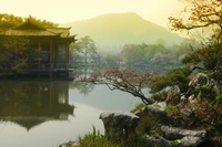 Reflexão de um jardim japonês tranquilo ao amanhecer