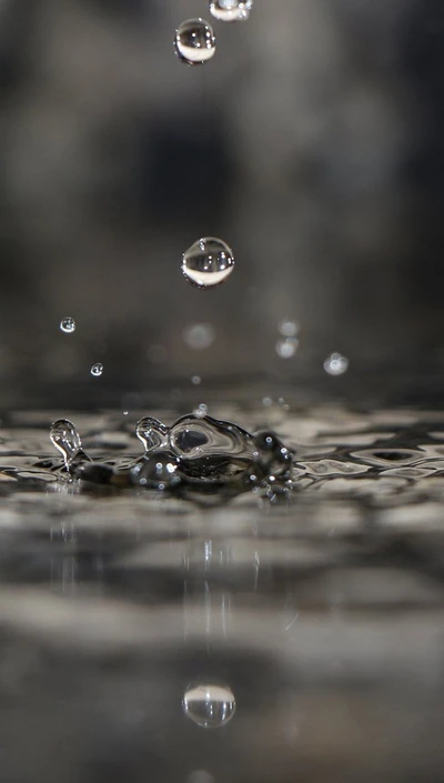 drop, rain, water