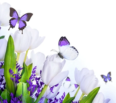 Flores de primavera: Mariposas entre tulipanes blancos