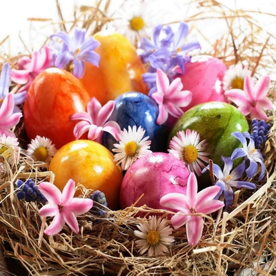 Oeufs de Pâques colorés entourés de fleurs vibrantes