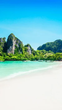 Praia tropical com vegetação exuberante e águas cristalinas