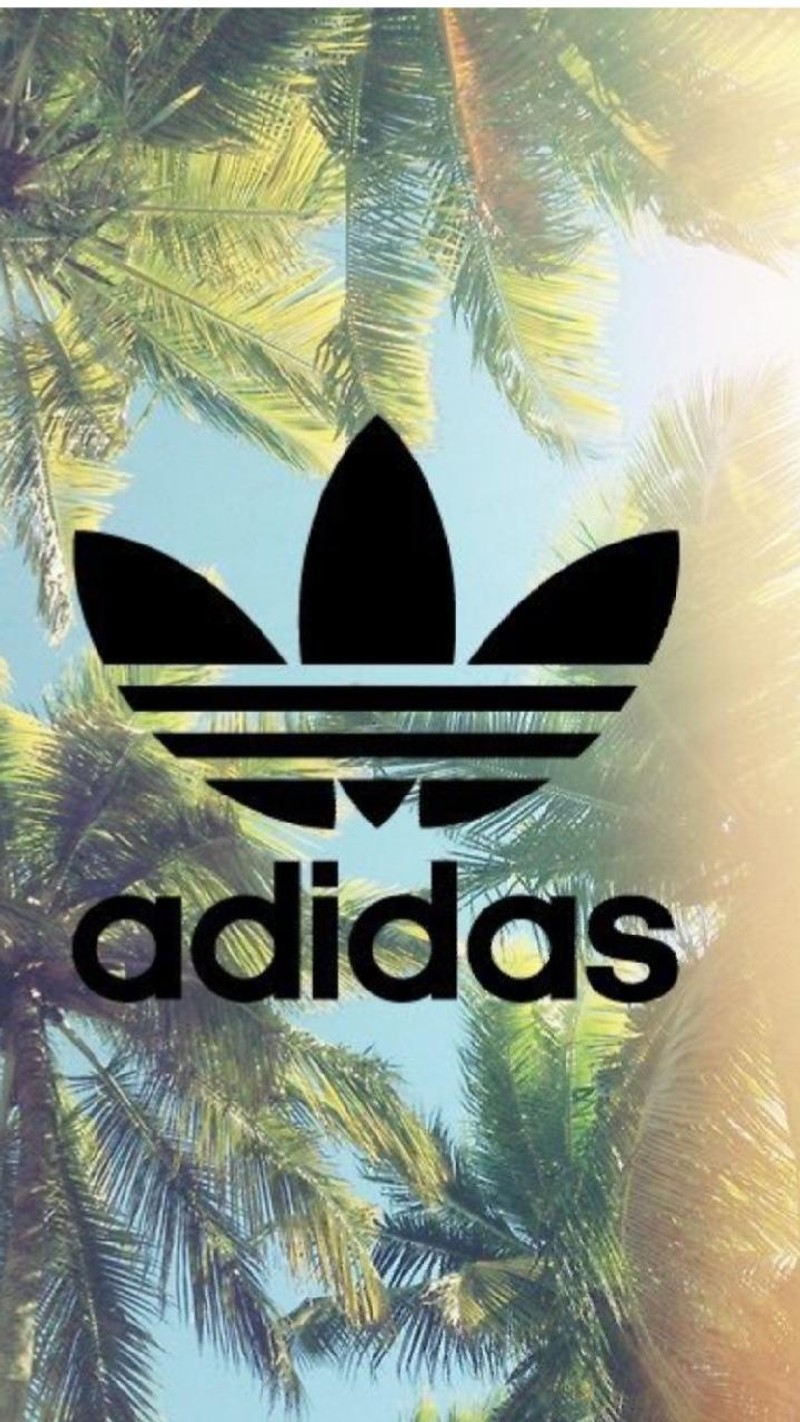 Крупный план пальмы с черным логотипом adidas (логотипы, хочу)