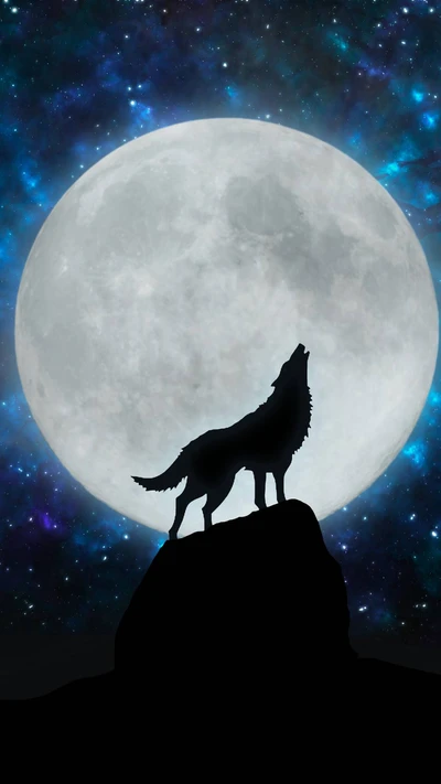 howling, wolf