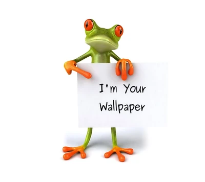 frog, funny, wallpaper