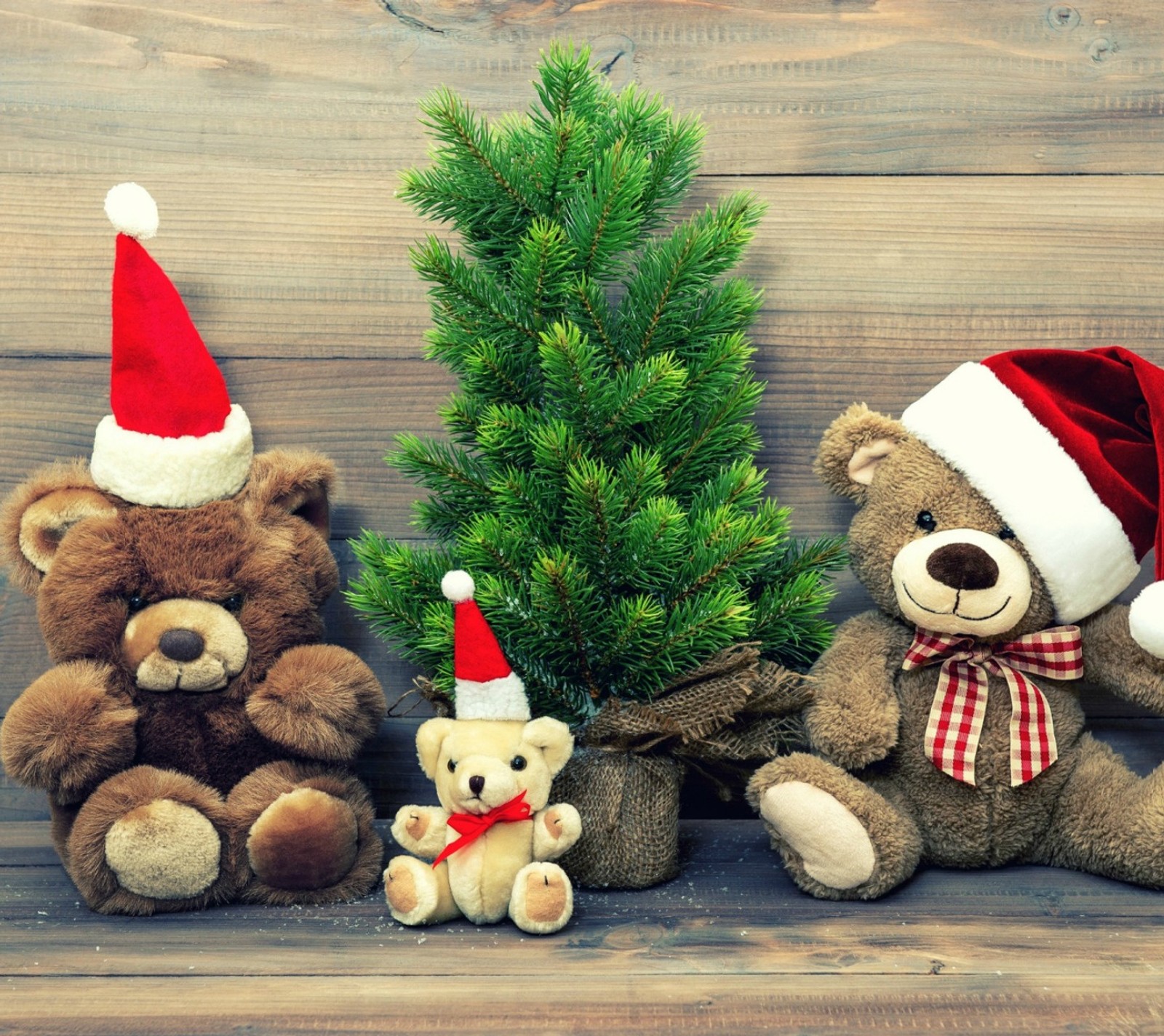 Tres ositos de peluche están sentados junto a un pequeño árbol de navidad (navidad, árbol de navidad, ositos de peluche)